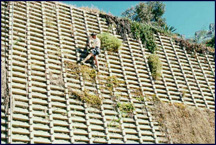 Installing peanuts (sites) in the Dana Point Crib Wall for yearly monitoring